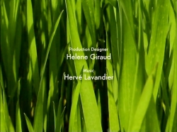 خیلی خیلی کوچک (1) (حشره ای با سرعت بالا)